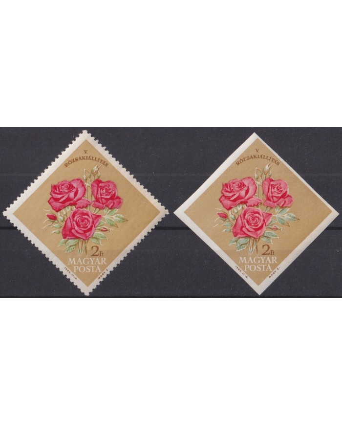F-EX44952 HUNGARY MNH 1963 FLOWER FLORES ROSE EXHIBITION PERF + IMPERF.