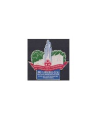 F-EX17534 GERMANY CIRCA 1930 CINDERELLA 50x50mm MEDICINE RHEUMATISM. DEFECTOS