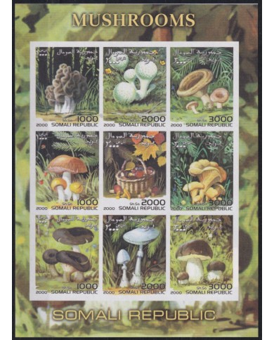 F-EX48019 SOMALIA MNH 2000 MUSHROOMS FLOWER SETAS. F-EX48019 SOMALIA MNH 2000 MUSHROOMS FLOWER SETAS.
