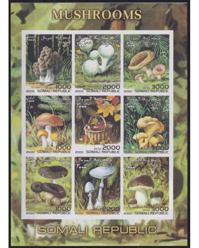 F-EX48019 SOMALIA MNH 2000 MUSHROOMS FLOWER SETAS. F-EX48019 SOMALIA MNH 2000 MUSHROOMS FLOWER SETAS.