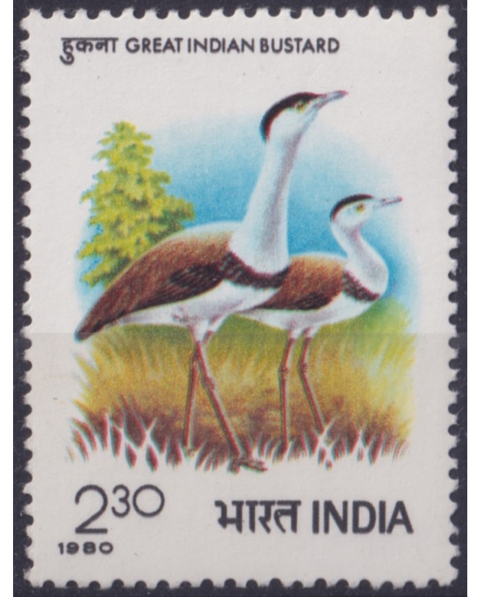 F-EX49241 INDIA MNH 1980 BUSTARD BIRD AVES PAJAROS VOGEL OISEAUX.