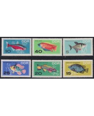 F-EX50191 GERMANY DDR MNH 1966 AQUARIUS FISH PECES.