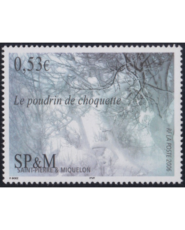 F-EX50326 SAINT PIERRE ET MIQUELON MNH 2006 ART PAINTING SHOCK POWDER.