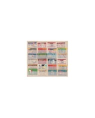 F-EX6483 HUNGARY CZECHOSLOVAKIA RUSSIA MATCHES CINDERELLA LOT +100 DIFF
