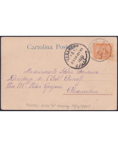 F-EX49977 EGYPT 1901 POSTCARD NAPOLES USED IN EGYPT ALEXANDRIE “A”.