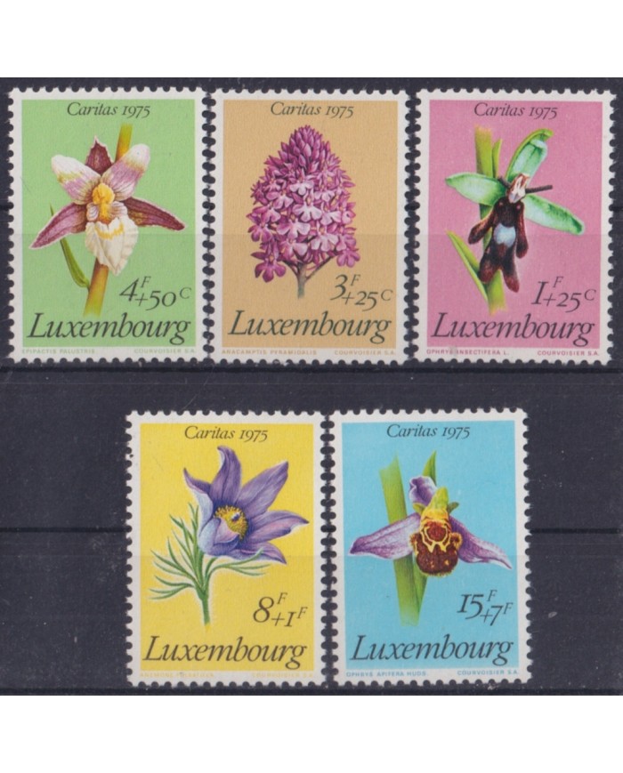 F-EX52461 LUXEMBOURG MNH 1975 GARDEN FLOWER FLORES.