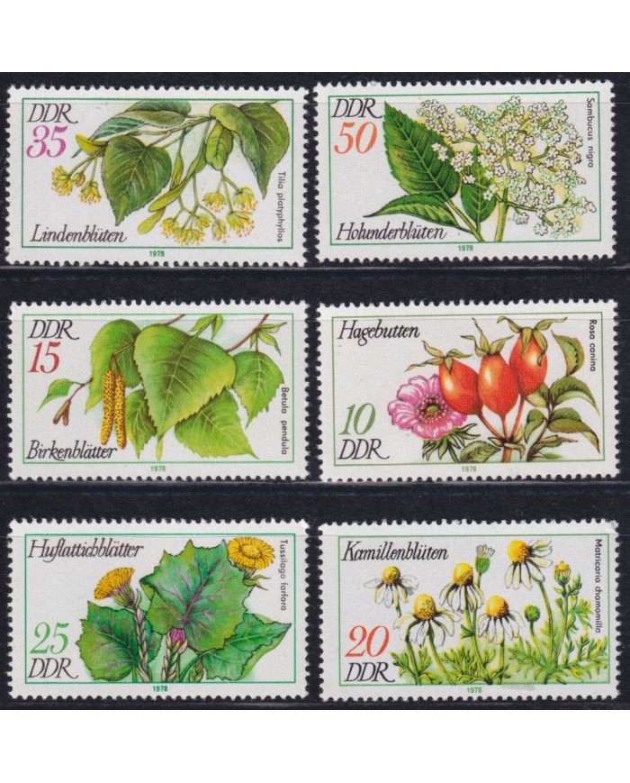 F-EX50851 GERMANY DDR MNH 1978 FLOWER FLORES GARDEN.