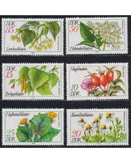 F-EX50851 GERMANY DDR MNH 1978 FLOWER FLORES GARDEN.