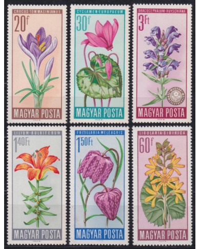 F-EX50870 HUNGARY MNH 1966 FLOWER FLORES GARDEN.