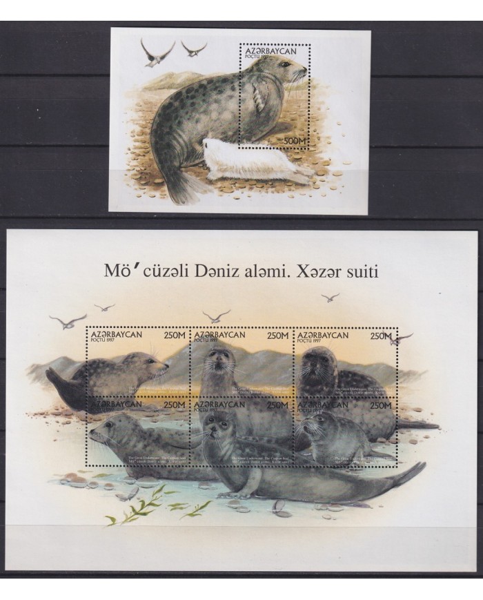 F-EX18154 AZERBAIJAN RUSSIA MNH 1997 SEA LIFE CASPINA SEAL FOCA MARINA