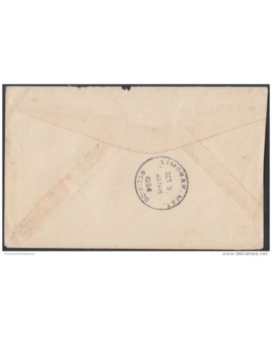 1954-H-19 US. 1954. SOBRE DE CORREO OFICIAL URGENTE. DIA DE LAS NACIONES UNIDAS. NA DAY SPECIAL CANCEL.