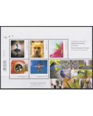F-EX54174 CANADA MNH 2010 WILDLIFE PHOTOGRAPHY FOX FROG PARROT BIRD.