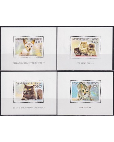 F-EX54736 CONGO MNH 1999 WILD SIAMS PERSANS CAT FELINE GATOS SHEET.