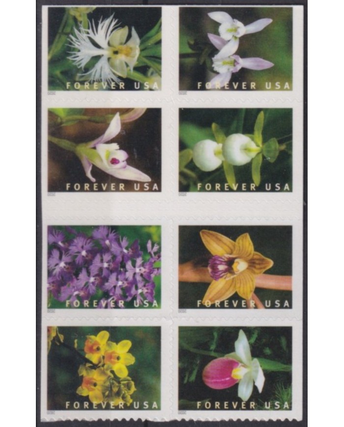 F-EX54876 USA US MNH 2020 ADHESIVE FOREVER FLOWER FLORES ORCHID ORQUIDEAS.