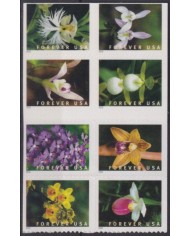 F-EX54876 USA US MNH 2020 ADHESIVE FOREVER FLOWER FLORES ORCHID ORQUIDEAS.