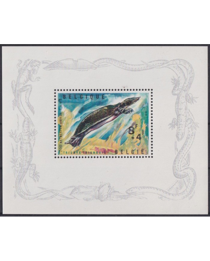 F-EX55596 BELGIUM BELGIQUE MNH 1965 SEA MARINE WILDLIFE TURTLE.