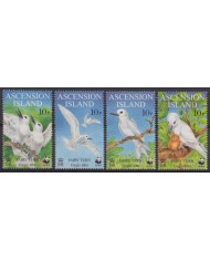 F-EX55461 ASCENSION IS 1999 MNH WWF BIRD AVES PAJAROS VÖGEL OISEAUX.