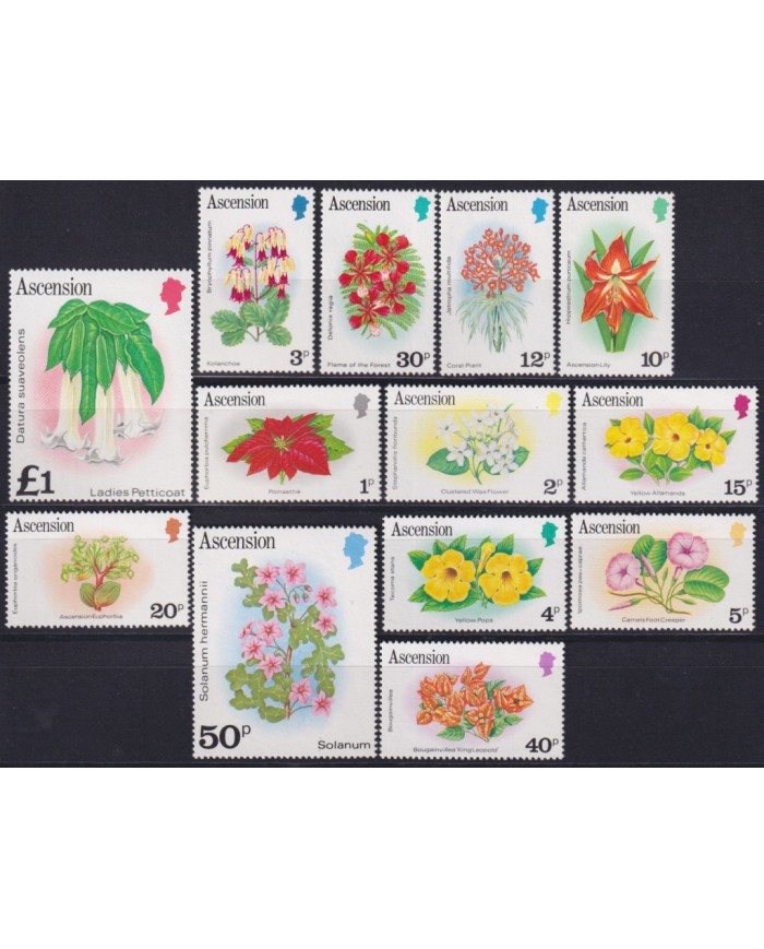F-EX53091 ASCENSION MNH 1981 FLOWER FLORES.