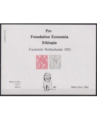 F-EX55036 ETHIOPIA PRO FOUNDATION ECONOMIA 1984.
