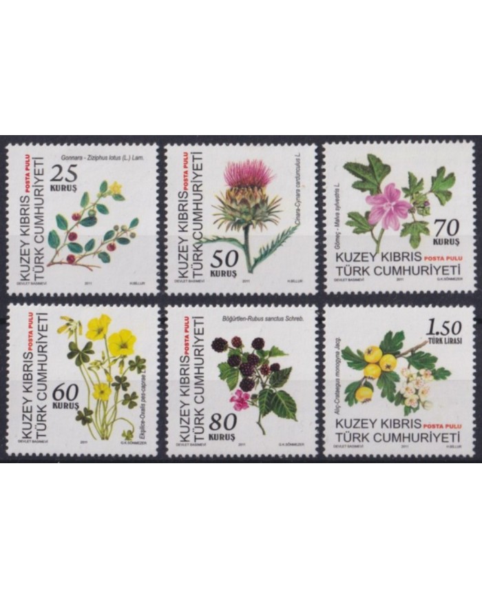 F-EX56402 TURKISH CYPRUS MNH 2008 PLANTS & FLOWER FLORES.