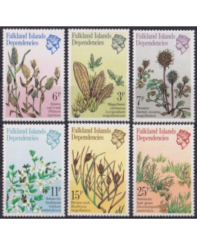 F-EX56394 FALKLAND IS MNH 1981 PLANTS & FLOWER FLORES.