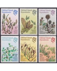F-EX56394 FALKLAND IS MNH 1981 PLANTS & FLOWER FLORES.