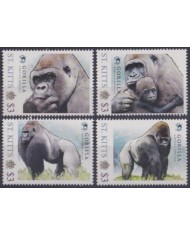 F-EX58583 ST KITTS MNH  2019 WILDLIFE MONKEY GORILLA. F-EX58583 ST KITTS MNH  2019 WILDLIFE MONKEY GORILLA.