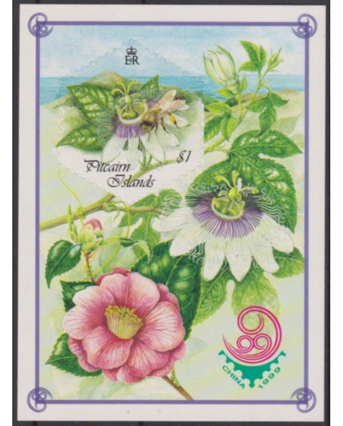 F-EX58741 PITCAIRN MNH 1999 FLORA FLOWER FLORES ORCHID ORQUIDEAS.