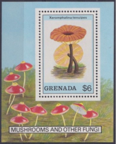 F-EX58735 GRENADA MNH 2002 FLORA FLOWER FLORES MUSHROOMS FUNGI.
