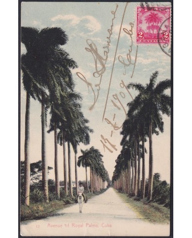 TMA-761 CUBA 1909 2c TCV MAXIM CARD PALM HAVANA TO FRANCE.