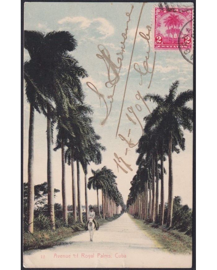 TMA-761 CUBA 1909 2c TCV MAXIM CARD PALM HAVANA TO FRANCE.