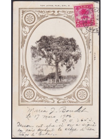 TMA-769 CUBA 1906 2c TCV MAXIM CARD PALM SANTIAGO DE CUBA TO FRANCE. PEACE TREE.
