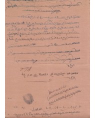 F-EX15100 INDIA FEUDATARY STATE. SHANAPUR SEALLED PAPER. 21x34 cm.