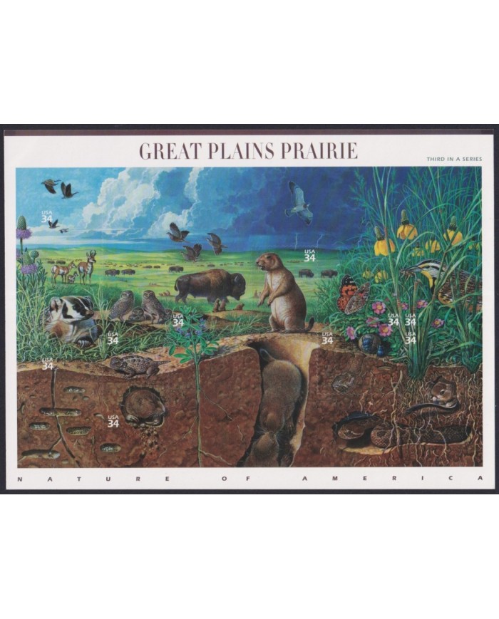 F-EX58054 US USA MNH 2001 SHEET GREAT PLAINS PRAIRIE WILDLIFE BIRD BISONTE FAUNA.