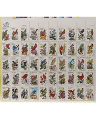 F-EX58087 USA US MNH 1981 COMPLET SHEET OF 50 STATES BIRD OISEAUX VÖGEL.