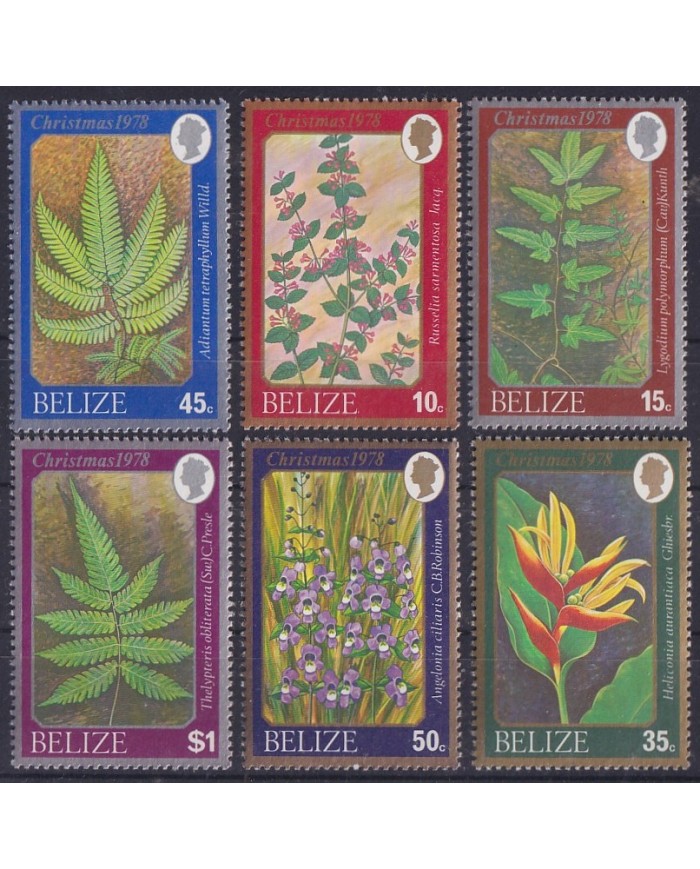 F-EX61441 BELIZE MNH 1978 CHRISTMAS NAVIDAD WILD FLOWERS & FERNS.