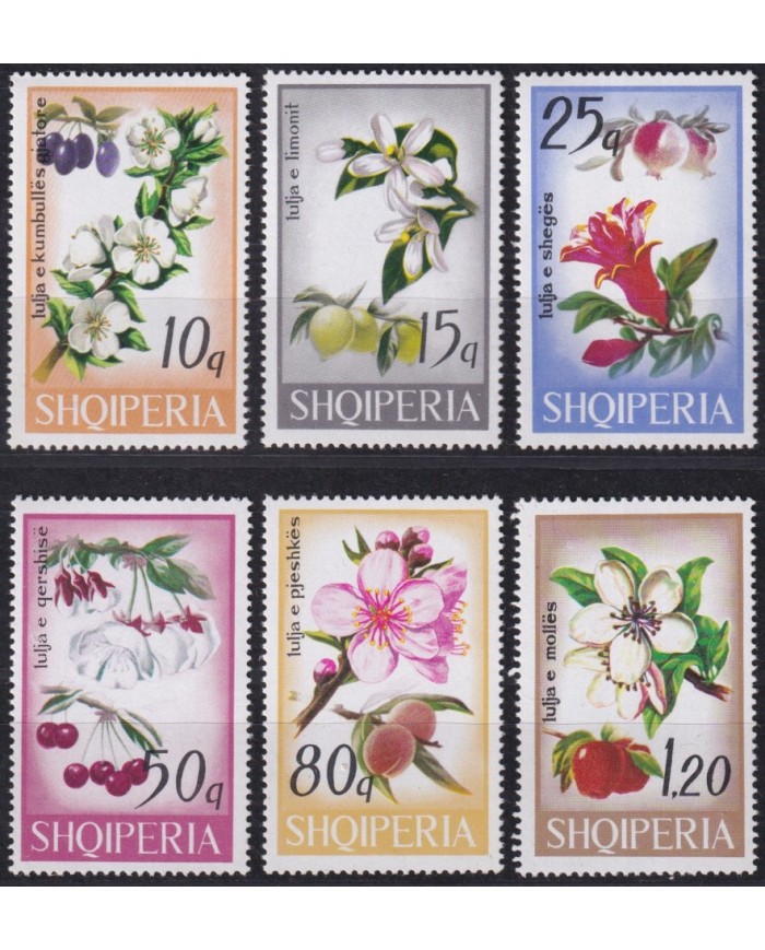 F-EX61675 ALBANIA SHIQIPERIA MNH 1969 FLOWER FLORES.
