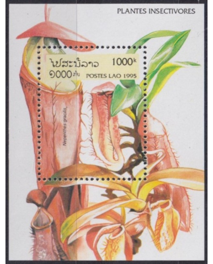 F-EX61760 LAOS MNH 1995 SHEET INSECT EATING FLOWER FLORES.