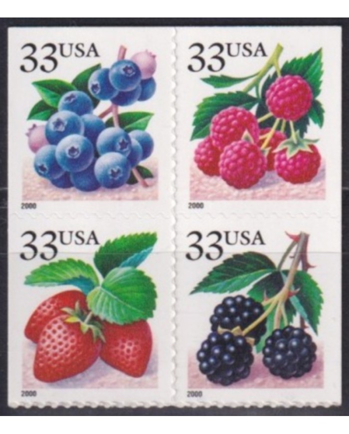 F-EX61381 USA US MNH 2000 FRUIT FOOD FLOWER FLORES.