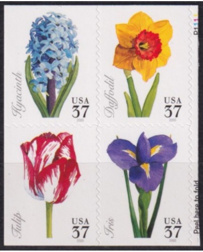 F-EX61410 USA US MNH 2005 FLOWER FLORES.