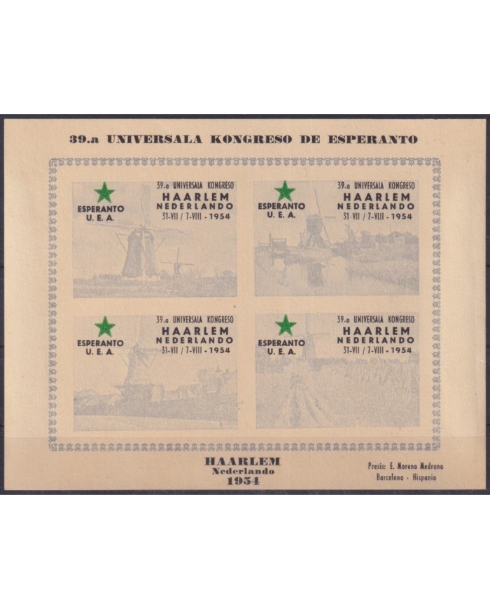 F-EX61852 NEDERLAND NETHERLAND HOLLAND 1954 CINDERELLA ESPERANTO HAARLEM CONGRESS.