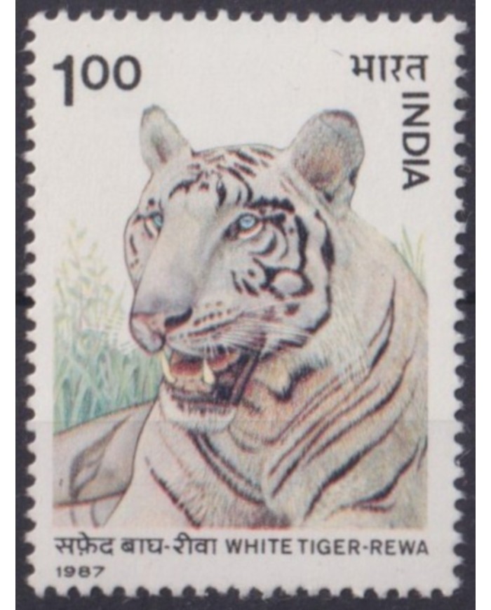 F-EX61661 INDIA MNH 1977 WHITE TIGER REWA FELINE.