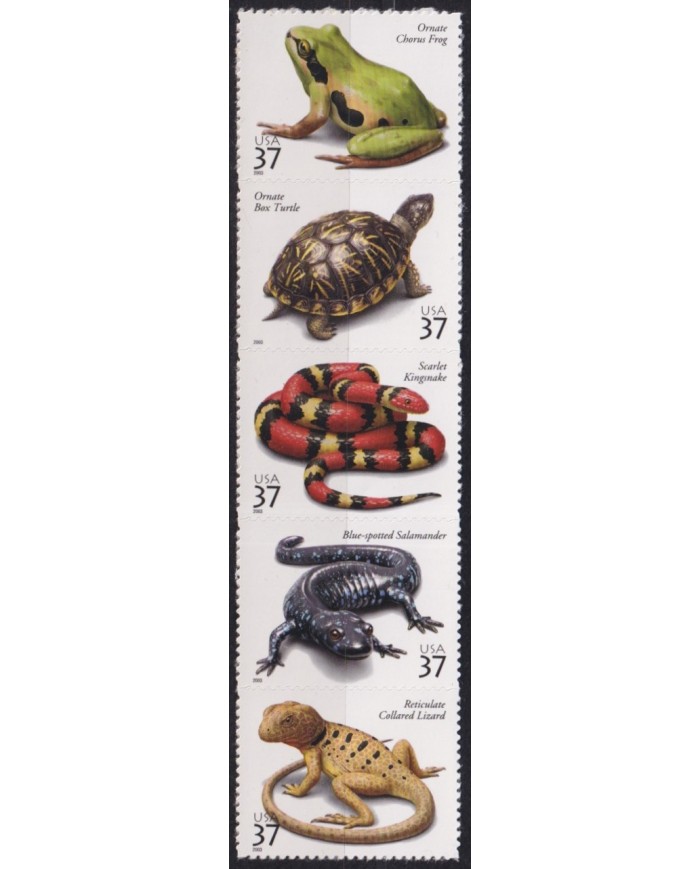 F-EX61026 USA US MNH 2003 FAUNA WILDLIFE ANPHIBIAN FROG LIZARD TURTLE GECKO.