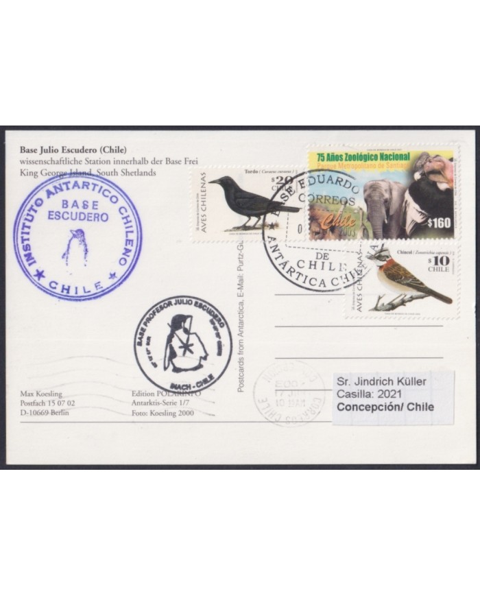 F-EX64188 CHILE ANTARCTIC TERRITORY 2003 BIRD POSTCARD ESCUDERO STATION - CHILE.