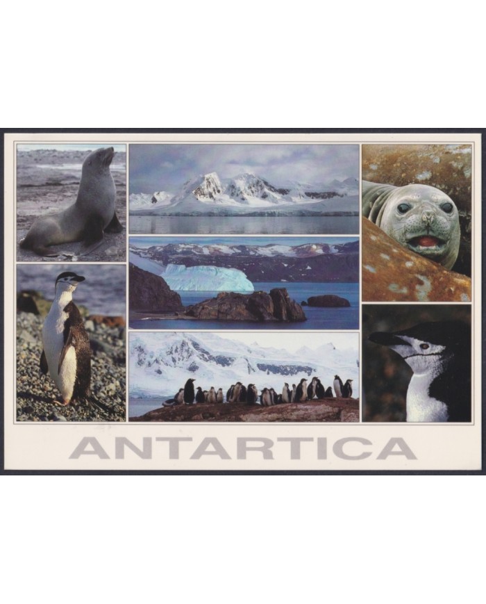 F-EX64182 CHILE ANTARCTIC TERRITORY 2003 COVER EDUARDO FREI STATION BIRD.