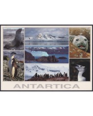 F-EX64182 CHILE ANTARCTIC TERRITORY 2003 COVER EDUARDO FREI STATION BIRD.