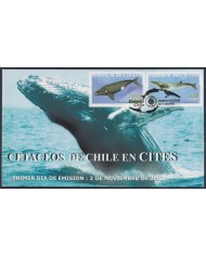 F-EX64199 USA ANTARCTIC PAQUEBOT NEW ZEALAND STATION 2021 COVER TO GERMANY.