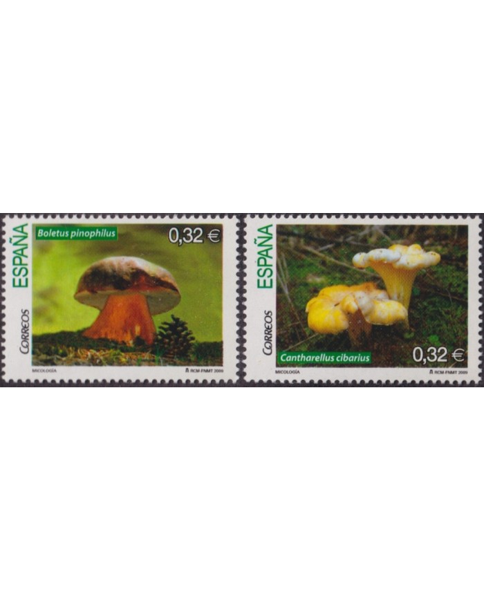 F-EX63957 ESPAÑA SPAIN MNH 2009 SETAS MUSHROOMS MICOLOGY.