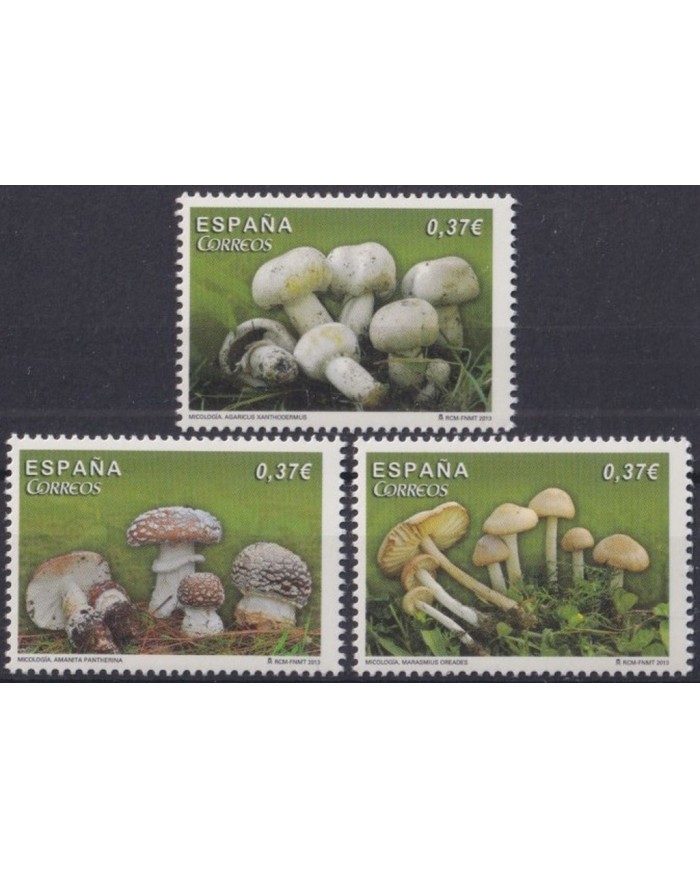F-EX64246 ESPAÑA SPAIN MNH 2012 SETAS MUSHROOMS MICOLOGY.