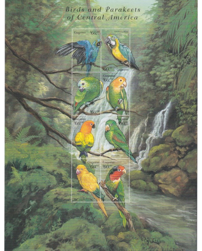 F-EX65033 GUYANA MNH 1999 BIRD PARAKEETS OF CENTRAL AMERICA AVES PARROT OISEAUX.